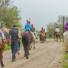 Отель Апага Резорт Иджеван спортивное сооружение