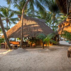 Отель Beachfront Hotel La Palapa - Adults Only Мексика, Остров Ольбокс - отзывы, цены и фото номеров - забронировать отель Beachfront Hotel La Palapa - Adults Only онлайн фото 5