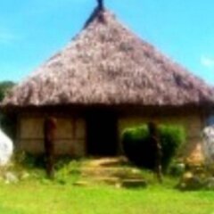 Nalesutale Home Stay in Viti Levu, Fiji from 114$, photos, reviews - zenhotels.com photo 3