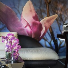 Отель Grand Hotel Saint Michel Франция, Париж - 1 отзыв об отеле, цены и фото номеров - забронировать отель Grand Hotel Saint Michel онлайн помещение для мероприятий фото 2