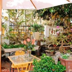 Отель Golden Leaf Homestay