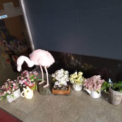 Hotel At Home фото 2