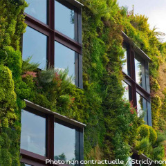 Отель Rotary Geneva MGallery by Sofitel Швейцария, Женева - отзывы, цены и фото номеров - забронировать отель Rotary Geneva MGallery by Sofitel онлайн балкон
