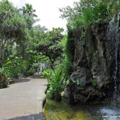 Отель Mercure Singapore Bugis Сингапур, Сингапур - 1 отзыв об отеле, цены и фото номеров - забронировать отель Mercure Singapore Bugis онлайн приотельная территория фото 2