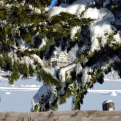 Отель Waldhaus am See Швейцария, Санкт-Мориц - отзывы, цены и фото номеров - забронировать отель Waldhaus am See онлайн пляж фото 2