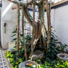 Alko Hotel Boutique фото 9