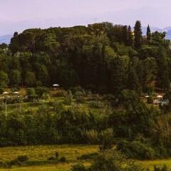Отель Villa Somelli Италия, Эмполи - отзывы, цены и фото номеров - забронировать отель Villa Somelli онлайн фото 11