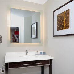 Отель Hawthorn Suites by Wyndham Chicago Schaumburg ванная фото 2
