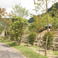 Отель Hatago Sakura Минамиогуни фото 10
