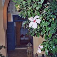 Отель Riad El Ouarda Марокко, Марракеш - отзывы, цены и фото номеров - забронировать отель Riad El Ouarda онлайн интерьер отеля фото 2