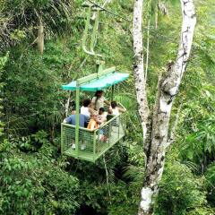 Отель Gamboa Rainforest Resort развлечения
