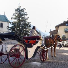 Отель M de Megève спортивное сооружение