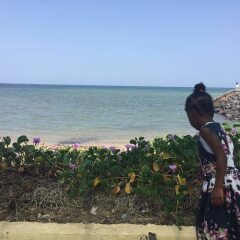 Acacias Hotel in Djibouti, Djibouti from 231$, photos, reviews - zenhotels.com photo 2