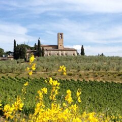 Отель Fattoria Abbazia Monte Oliveto Италия, Сан-Джиминьяно - отзывы, цены и фото номеров - забронировать отель Fattoria Abbazia Monte Oliveto онлайн фото 9
