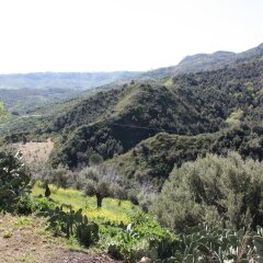 Отель Azienda Agrituristica Le Puzelle Санта Северина фото 3