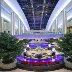 Отель Hilton Guangzhou Science City Гуанчжоу фото 6