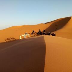 Отель Merzouga Camp Марокко, Мерзуга - отзывы, цены и фото номеров - забронировать отель Merzouga Camp онлайн бассейн
