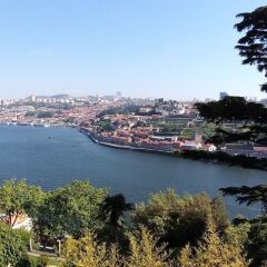Отель Premium Porto Downtown фото 13