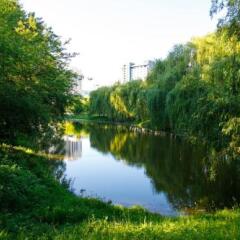 Гостиница Favor Park Hotel Украина, Киев - отзывы, цены и фото номеров - забронировать гостиницу Favor Park Hotel онлайн приотельная территория