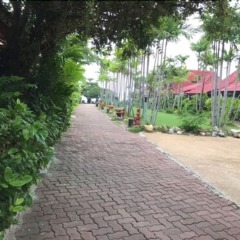 Отель Chaweng Resort Таиланд, Самуи - 2 отзыва об отеле, цены и фото номеров - забронировать отель Chaweng Resort онлайн фото 11
