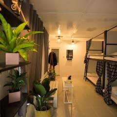 Aurora Homestay Hostel Далат спа фото 2