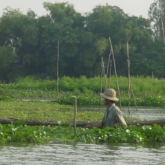 Отель Chau Doc Home Stay детские мероприятия