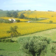Отель Agriturismo Il Gelso Antico Италия, Реканати - отзывы, цены и фото номеров - забронировать отель Agriturismo Il Gelso Antico онлайн фото 4