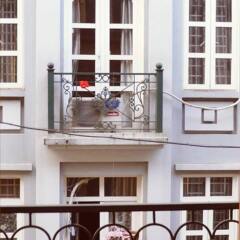 Отель Hanoi Youth Hostel Вьетнам, Ханой - отзывы, цены и фото номеров - забронировать отель Hanoi Youth Hostel онлайн комната для гостей фото 5