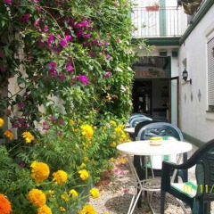 Hotel Mitus
