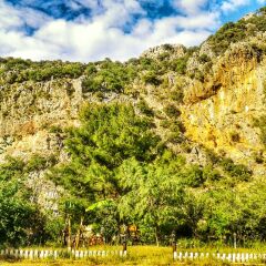 Гостевой Дом Dionysos Lodge фото 7