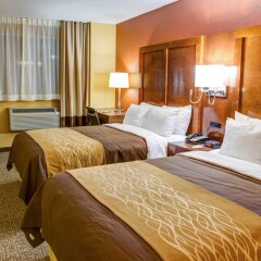 Отель Comfort Inn США, Нью-Йорк - 1 отзыв об отеле, цены и фото номеров - забронировать отель Comfort Inn онлайн комната для гостей фото 2