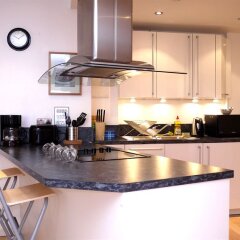 Отель South Bank Níké Apartments Великобритания, Лондон - отзывы, цены и фото номеров - забронировать отель South Bank Níké Apartments онлайн в номере
