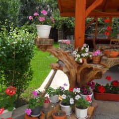 Отель Vien Guest House Банско