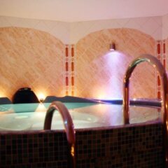 Boutique Spa Hotel Pegasa Pils с домашними животными