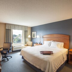 Отель Hampton Inn New York - LaGuardia Airport США, Нью-Йорк - отзывы, цены и фото номеров - забронировать отель Hampton Inn New York - LaGuardia Airport онлайн комната для гостей фото 3