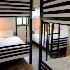 Doolay Beachfront Hostel комната для гостей фото 2