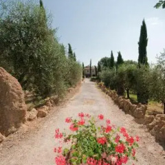 Отель Tenuta Decimo - Villa Dini Италия, Сан-Джиминьяно - отзывы, цены и фото номеров - забронировать отель Tenuta Decimo - Villa Dini онлайн фото 18