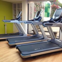 Отель Holiday Inn Singapore Orchard City Centre Сингапур, Сингапур - 1 отзыв об отеле, цены и фото номеров - забронировать отель Holiday Inn Singapore Orchard City Centre онлайн фитнесс-зал фото 2
