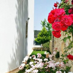 Villa Koru Турция, Патара - отзывы, цены и фото номеров - забронировать отель Villa Koru онлайн помещение для мероприятий
