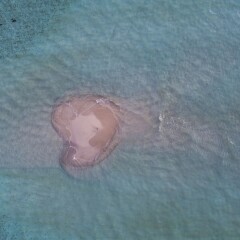 Отель Reef Edge Thulusdhoo Остров Гасфинолу сауна