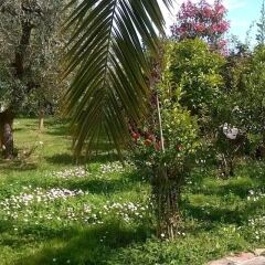 Отель Agriturismo Bassarì Италия, Реканати - отзывы, цены и фото номеров - забронировать отель Agriturismo Bassarì онлайн фото 4