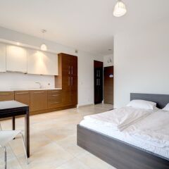 Отель Apartinfo Szafarnia Apartments Польша, Гданьск - отзывы, цены и фото номеров - забронировать отель Apartinfo Szafarnia Apartments онлайн фото 5
