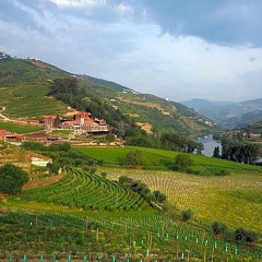 Отель Six Senses Douro Valley Португалия, Ламего - отзывы, цены и фото номеров - забронировать отель Six Senses Douro Valley онлайн фото 6