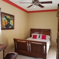 Daniella Inn Hotel in Carrefour, Haiti from 56$, photos, reviews - zenhotels.com guestroom photo 3