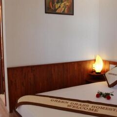 Отель Green Grass Homestay комната для гостей фото 3