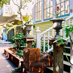 Отель Orchid Inn at Santa Barbara