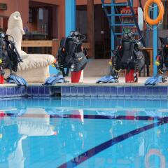 Отель Aqaba Adventure Divers Village бассейн фото 3