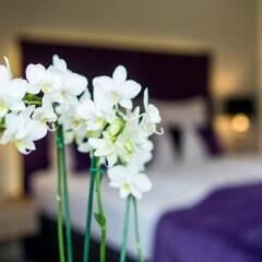 Отель Spa & Family Resort Sonnenhof Натурно помещение для мероприятий фото 2