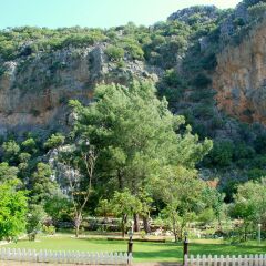 Гостевой Дом Dionysos Lodge фото 5