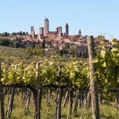 Отель Fattoria Abbazia Monte Oliveto Италия, Сан-Джиминьяно - отзывы, цены и фото номеров - забронировать отель Fattoria Abbazia Monte Oliveto онлайн фото 3